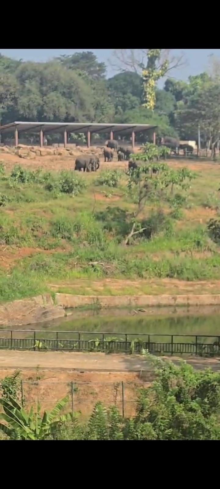 Pinnawala Elephant Front View Hotel Rambukkana Kültér fotó